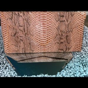Snake Skin Clutch
